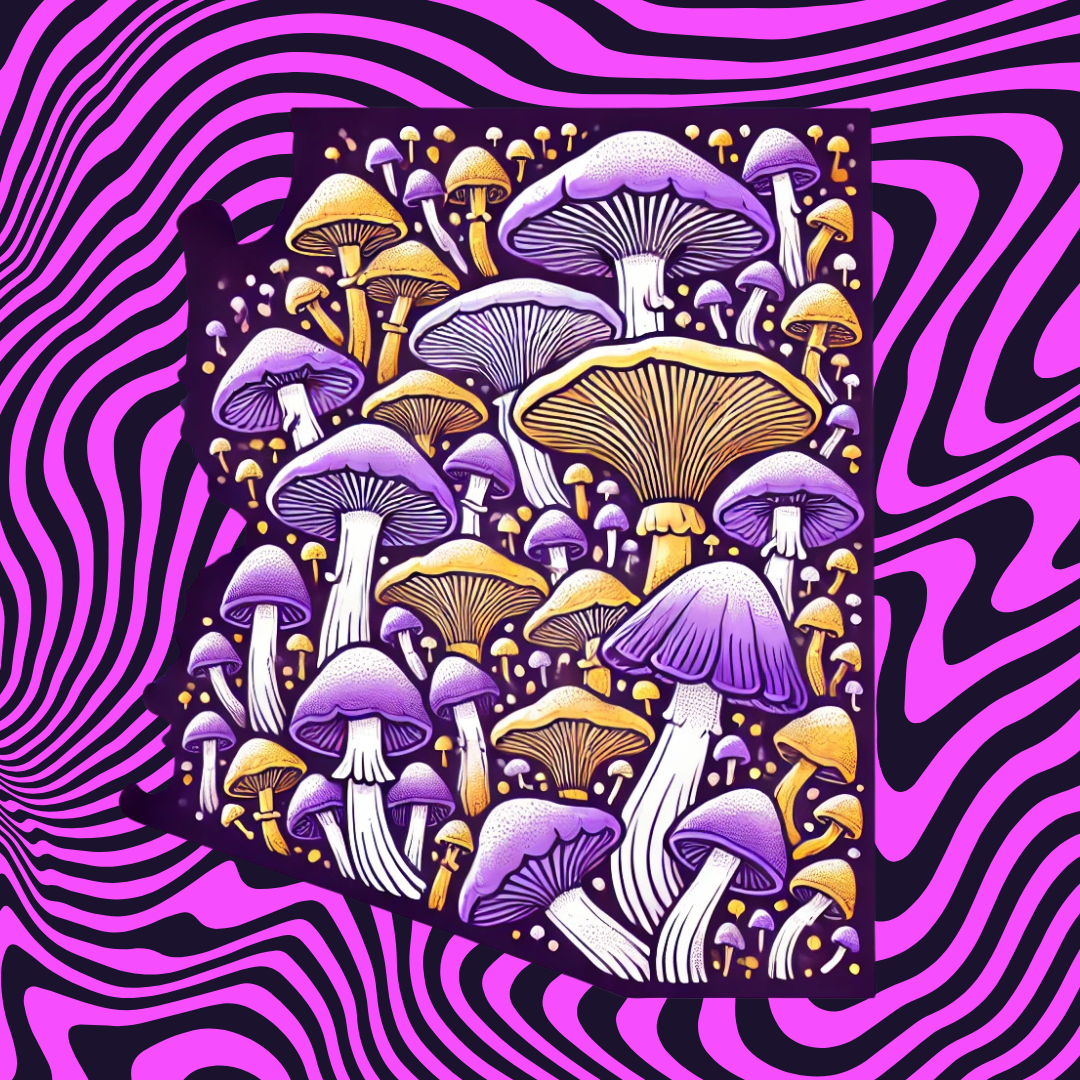 Where to Buy Mushroom Grow Kits in Arizona: Your Guide to Easy Cultivation