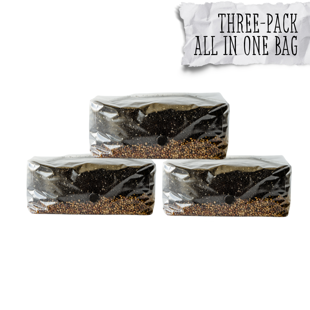 Grow your own mushrooms at home! Save yourself some time and hassle with our All-In-One Mushroom grow bag. Ready to inoculate right away and easily grow mushrooms at home.