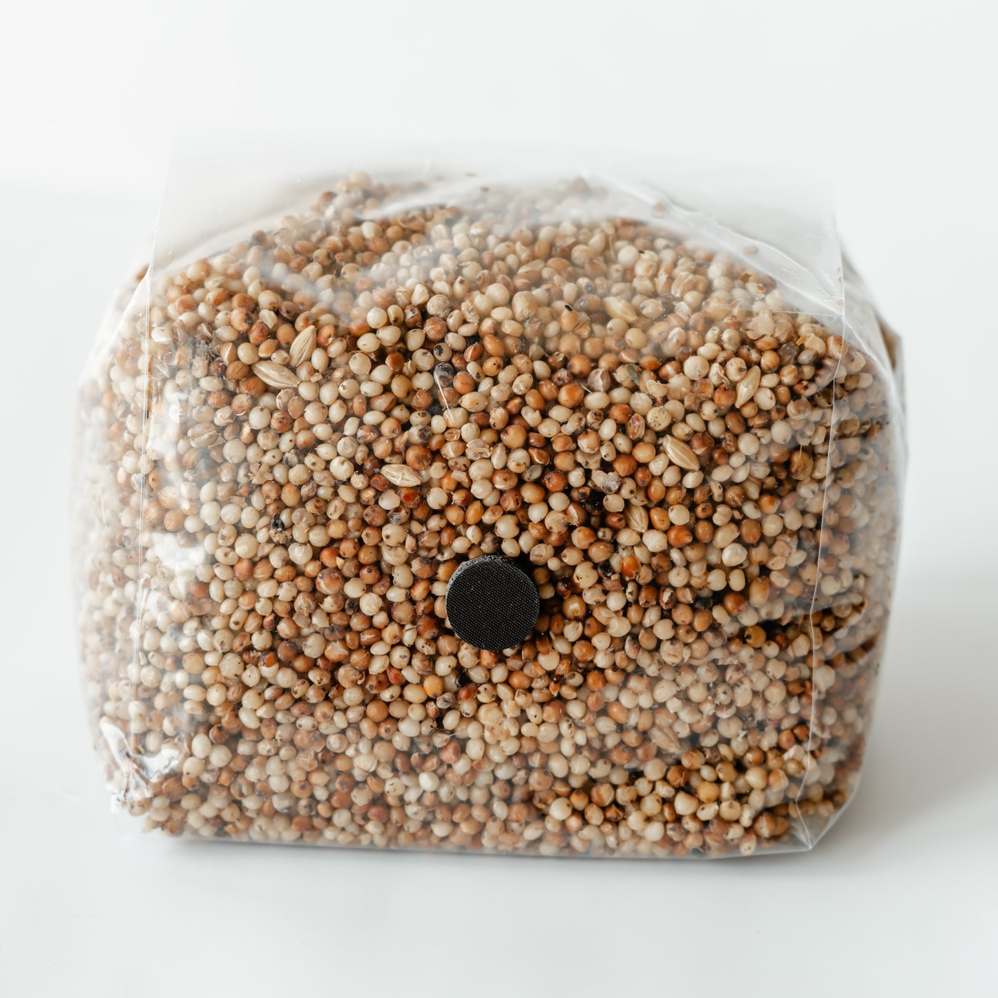 Sourced from high-quality grains and crafted with precision to ensure robust and rapid mycelium growth, leading to abundant mushroom yields. Ideal for both beginners and experienced mycologists, our grain spawn is produced in a sterile facility and rigorously tested to guarantee purity and viability.