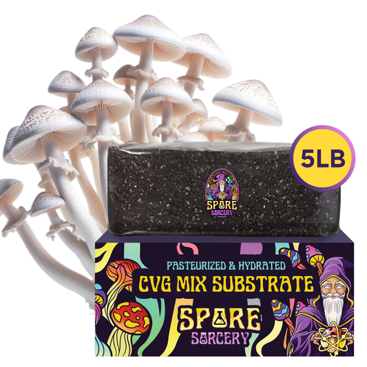 A 5LB bag of The Sorcerer's Mystic Blend Premium CVG Bulk Substrate from Spore Sorcery, with vibrant wizard-themed packaging, sits before white mushrooms—ideal for monotub grow bags.