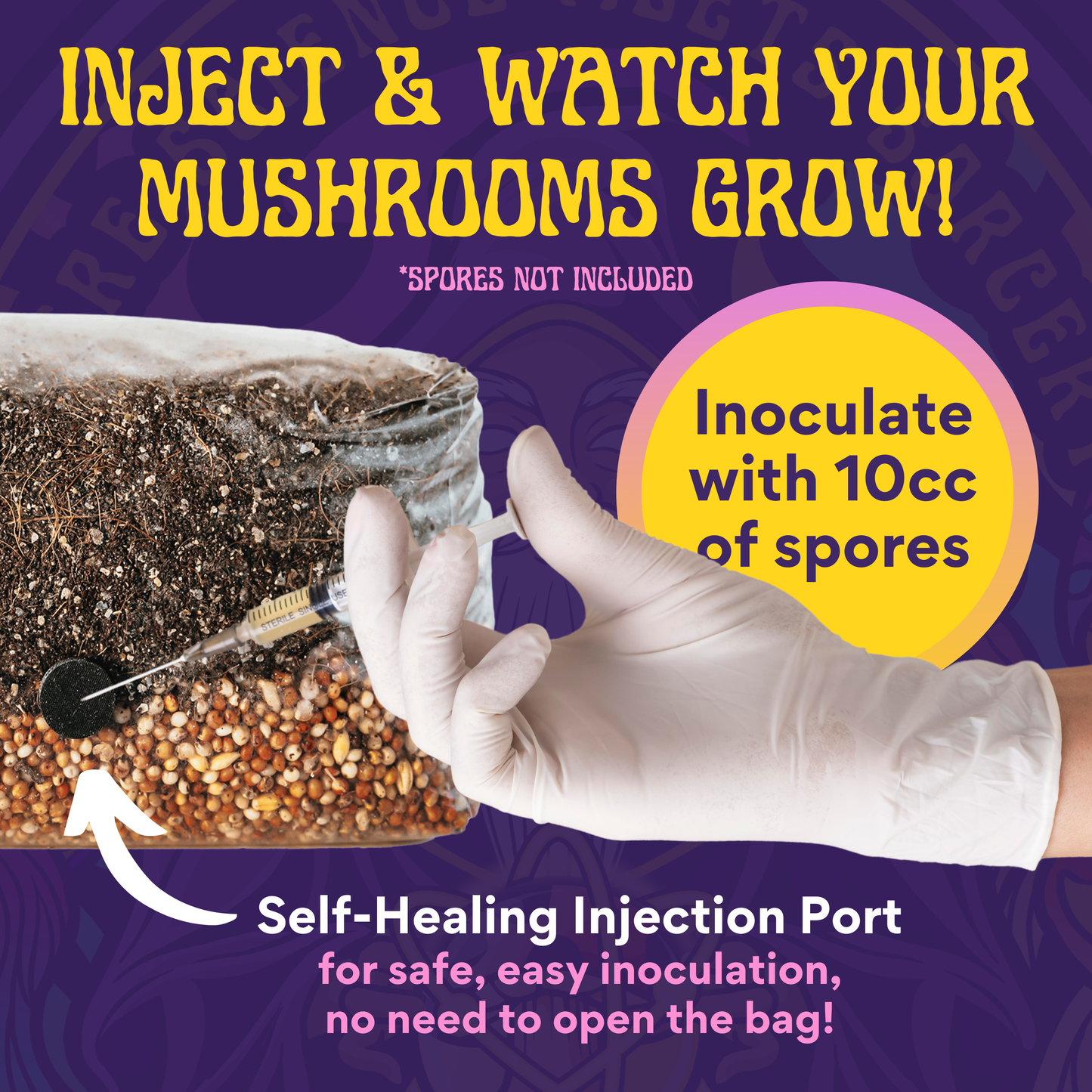 A gloved hand injects a syringe into the 6 lb All-in-One Mushroom Grow Kit In Bag (Spores Not Included). Grow mushrooms at home with no bag opening needed—just inject 10cc spores into the self-healing port and watch them grow!.