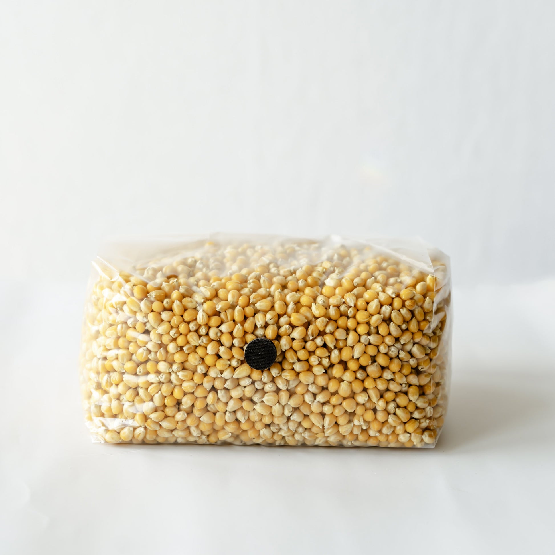 5lb bag of sterilized popcorn with nutrients for rapid colonization of mycelium to grow mushrooms at home