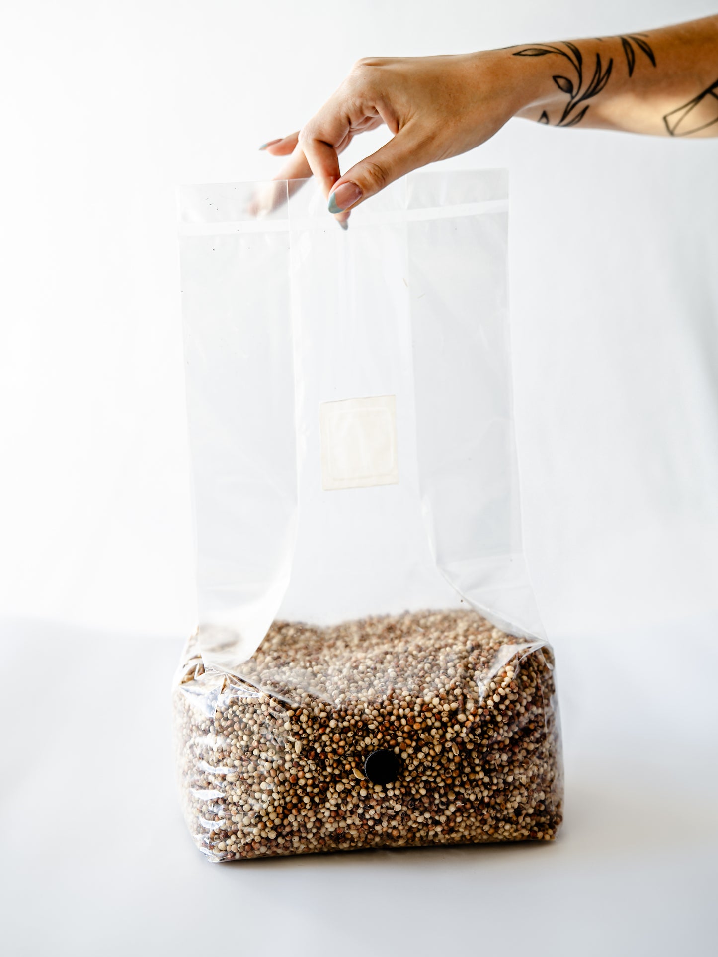 5lb milo sorghum grain spawn bag for growing mushrooms from spore sorcery