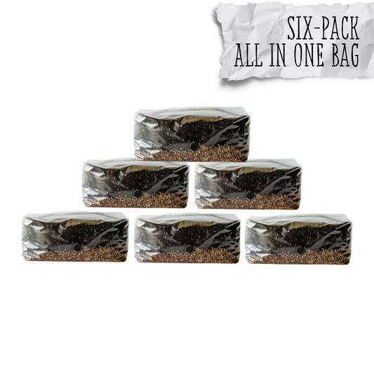 Grow your own mushrooms at home! Save yourself some time and hassle with our All-In-One Mushroom grow bag. Ready to inoculate right away and easily grow mushrooms at home.