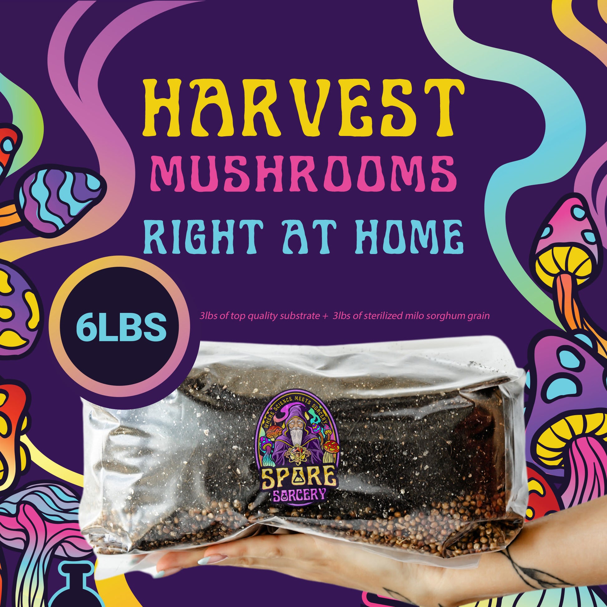 High-quality bulk coco coir, vermiculite, and nutrient mix layer on Milo Sorghum grain
Works with all mushroom types
Ready to use—Formulated to produce high yields