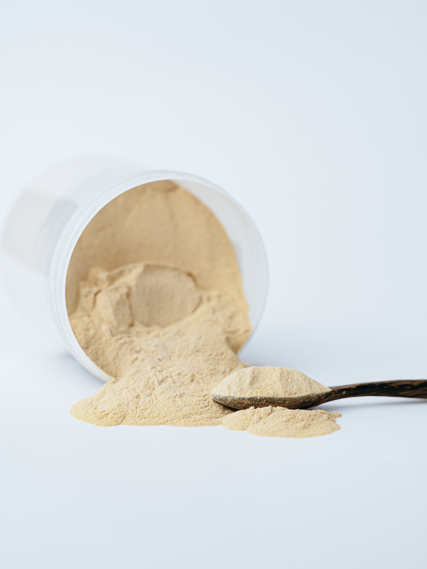 Side View Of Spore Sorcerys