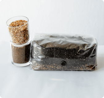 mushroom grow kit showing the different ingredients added to the bag. Includes milo sorghum grain and then coco-coir based substrate