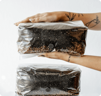 Grow your own mushrooms at home! Save yourself some time and hassle with our All-In-One Mushroom grow bag. Ready to inoculate right away and easily grow mushrooms at home.
