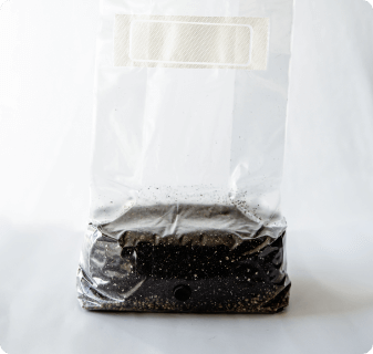 Grow your own mushrooms at home! Save yourself some time and hassle with our All-In-One Mushroom grow bag. Ready to inoculate right away and easily grow mushrooms at home.