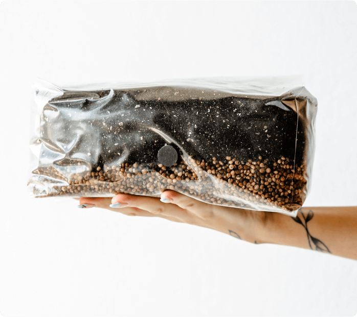 Grow your own mushrooms at home! Save yourself some time and hassle with our All-In-One Mushroom grow bag. Ready to inoculate right away and easily grow mushrooms at home.