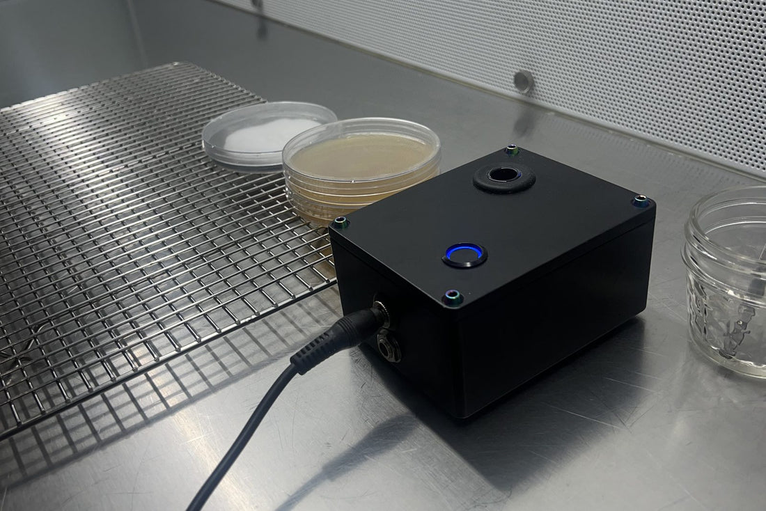 Sterile stainless steel work surface in a mushroom clean room with agar plates and a filtered air hood