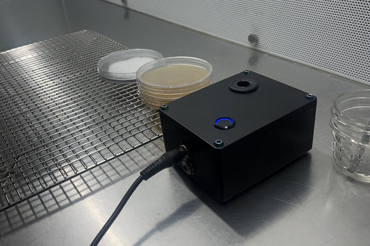 Sterile stainless steel work surface in a mushroom clean room with agar plates and a filtered air hood