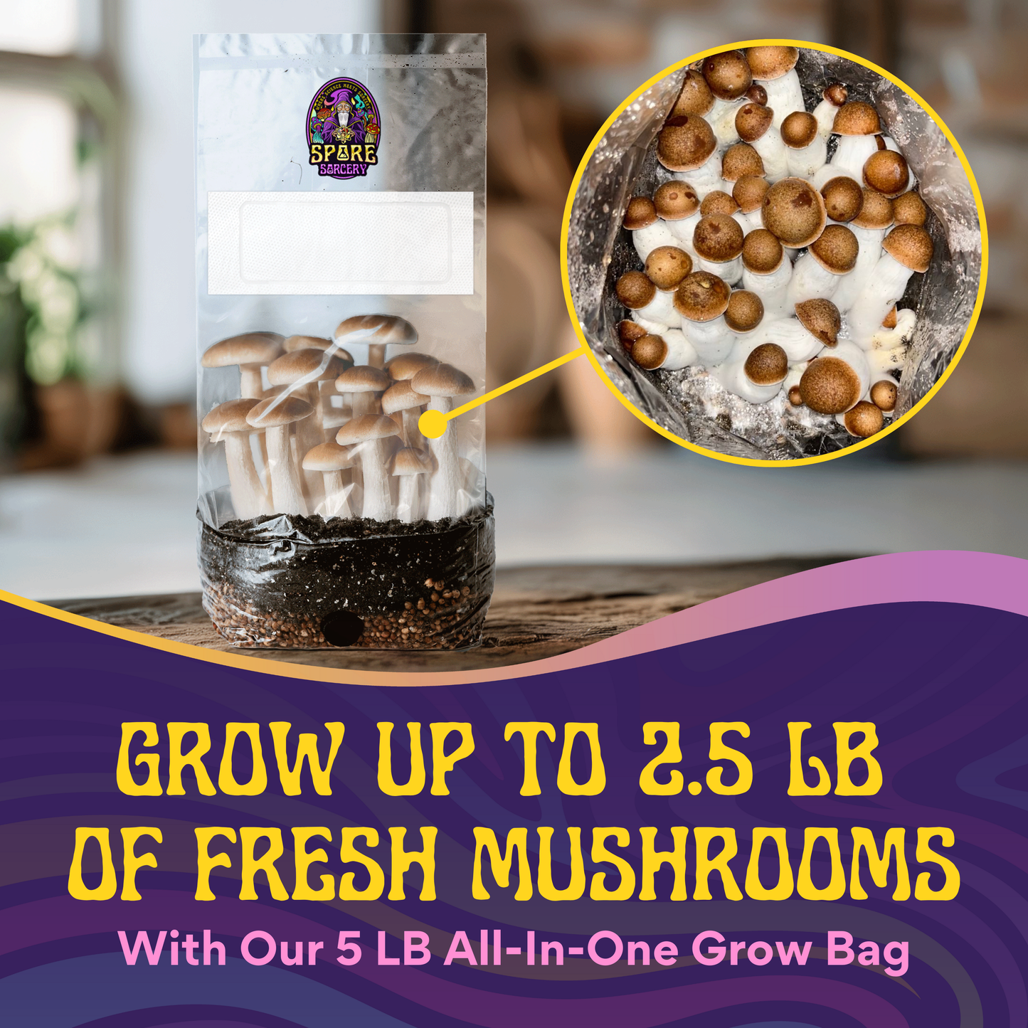 A clear 5lb All-In-One Mushroom Grow Bag (Spores Not Included) filled with mushrooms is shown, with an inset close-up of small mushrooms. Text reads: Grow up to 2.5 lb of fresh mushrooms in our sterilized grain & bulk substrate bag.