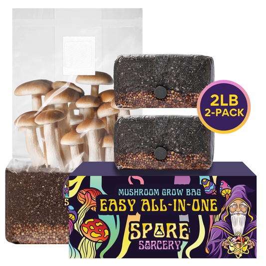 2 Pack | 2lb All-In-One Mushroom Grow Kit In A Bag (Spores Not Included)