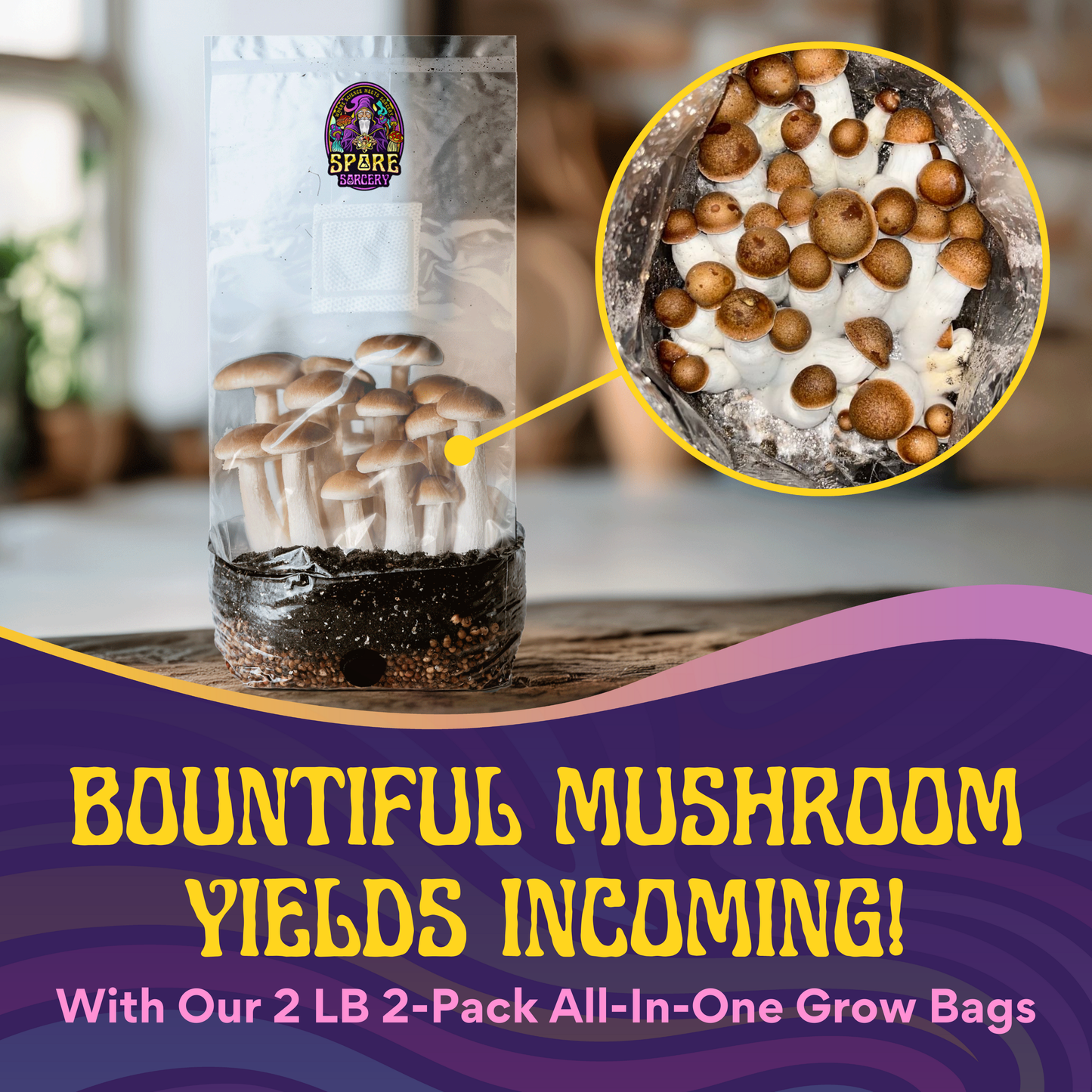 2 Pack | 2lb All-In-One Mushroom Grow Kit In A Bag (Spores Not Included)