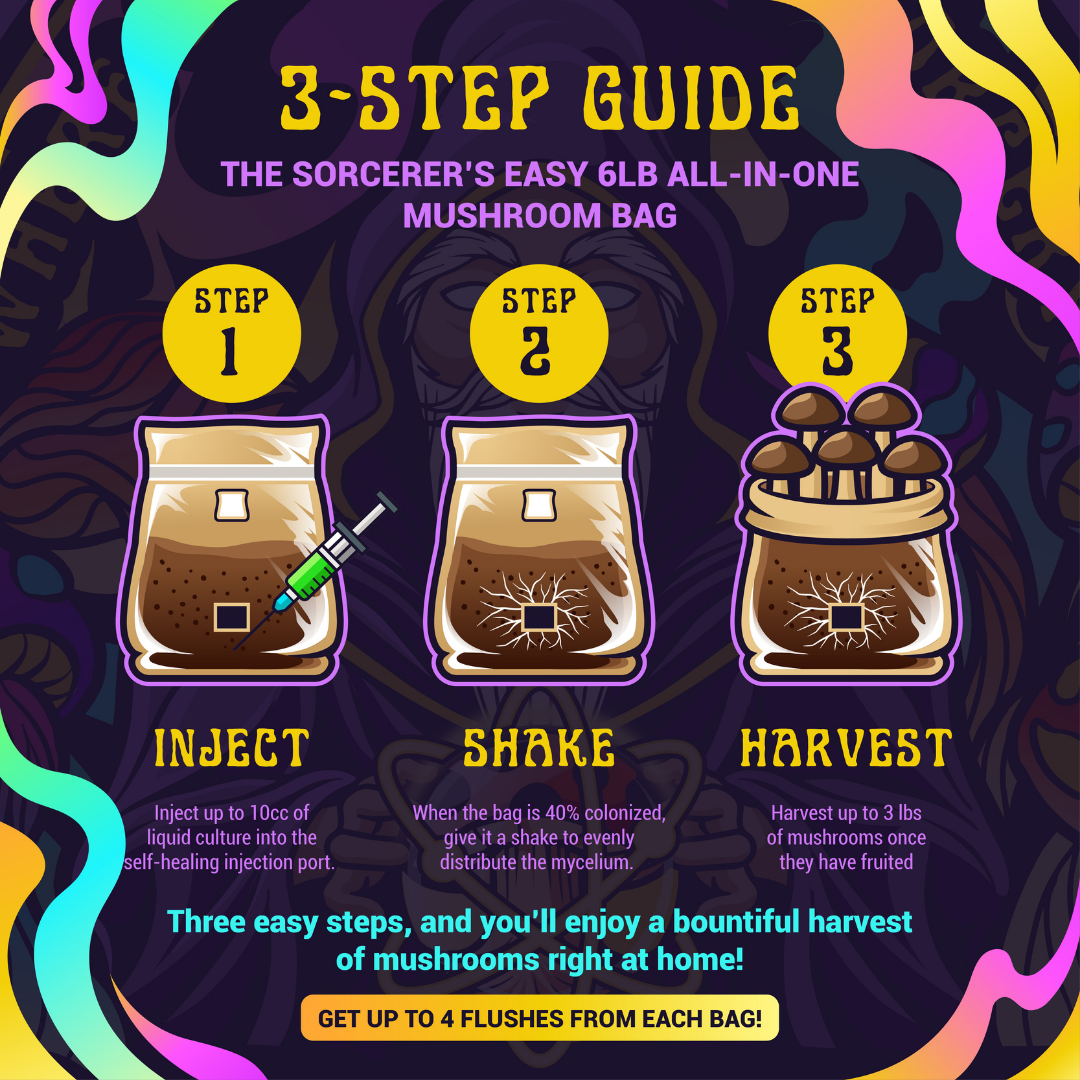 3 Step Guide 