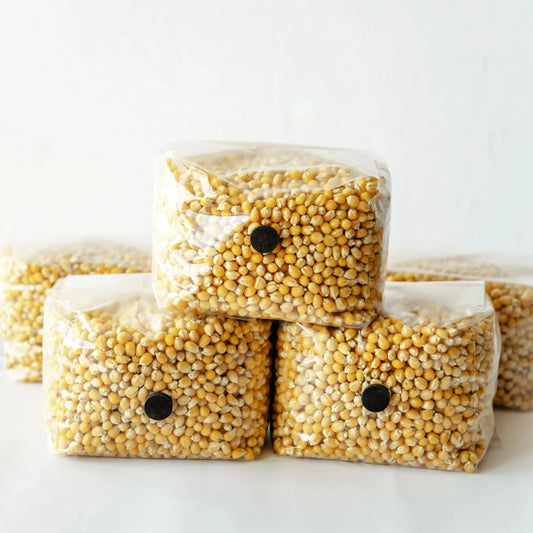 Corn Spawn Free Shipping Premium Mushroom Cultivation Kits | Spore Sorcery