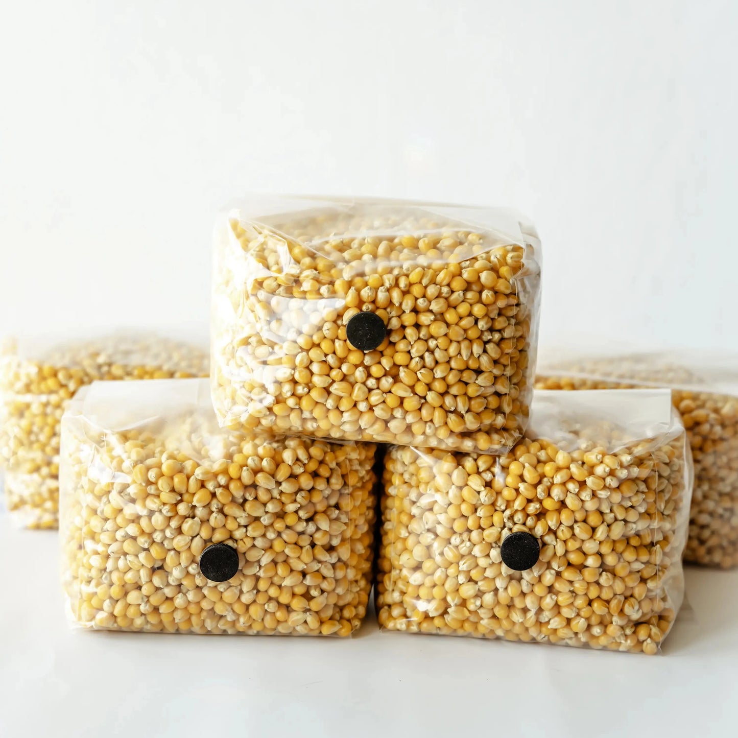 3lb Drippy Corn Grain Spawn