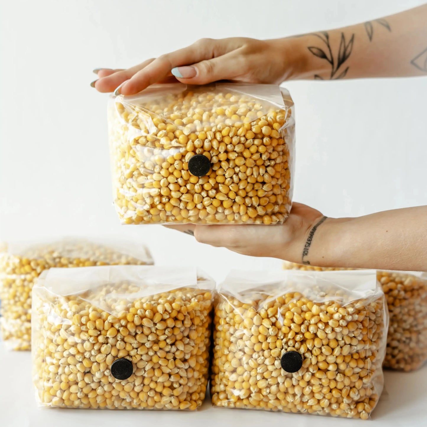 Our Drippy Corn is known for its high moisture retention and nutrient-rich profile. Drippy Corn is the go-to choice for mushroom enthusiasts seeking superior growth performance. Each bag is meticulously prepared and tested to ensure rapid colonization and contamination-free growth.