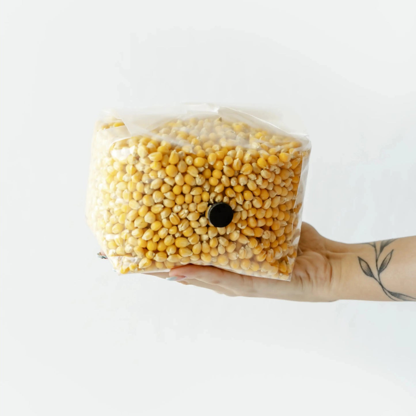 Our Drippy Corn is known for its high moisture retention and nutrient-rich profile. Drippy Corn is the go-to choice for mushroom enthusiasts seeking superior growth performance. Each bag is meticulously prepared and tested to ensure rapid colonization and contamination-free growth.