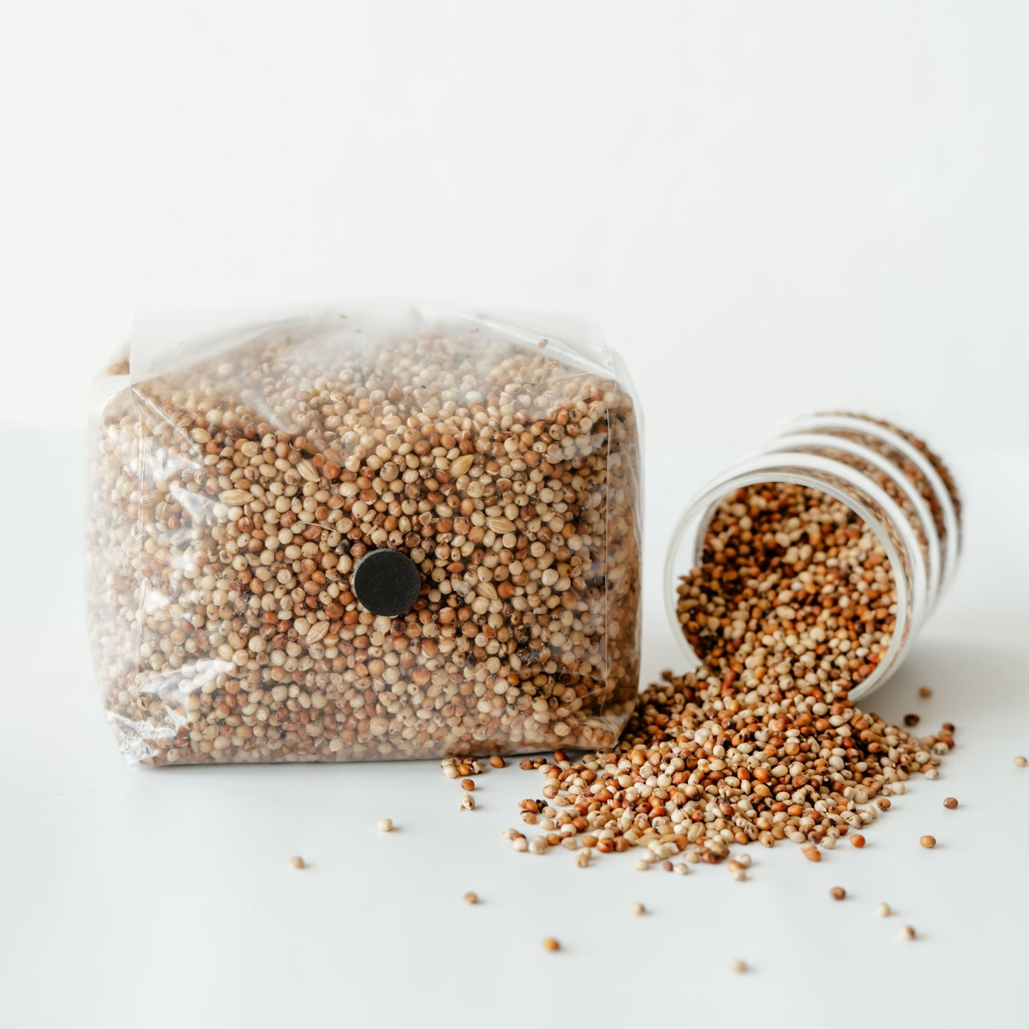 Sourced from high-quality grains and crafted with precision to ensure robust and rapid mycelium growth, leading to abundant mushroom yields. Ideal for both beginners and experienced mycologists, our grain spawn is produced in a sterile facility and rigorously tested to guarantee purity and viability.