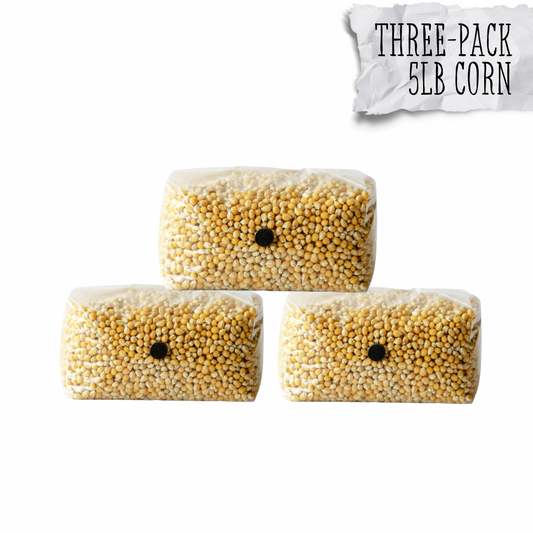 5lb bag of sterilized popcorn with nutrients for rapid colonization of mycelium to grow mushrooms at home