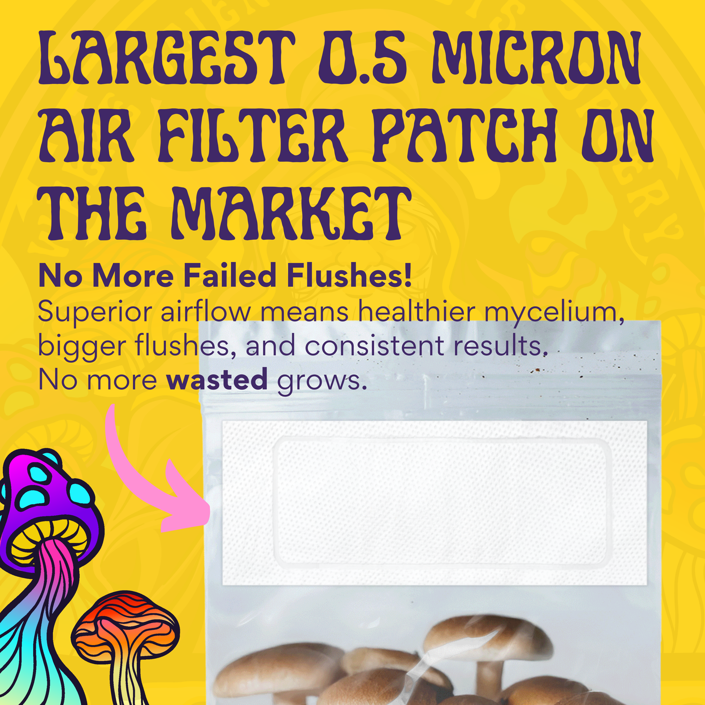 The 5lb All-In-One Mushroom Grow Bag (Spores Not Included) with the largest 0.5 micron air filter patch is displayed above mushrooms, showcasing its sterilized grain and bulk substrate for mushroom cultivation.