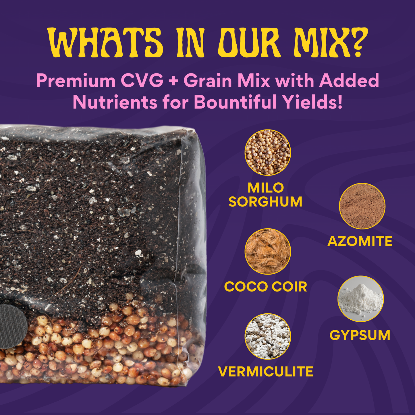 A graphic shows the 5lb All-In-One Mushroom Grow Bag (Sterilized Grain & Bulk Substrate), labeled WHAT'S IN OUR MIX? and listing milo sorghum, coco coir, vermiculite, azomite, and gypsum—on a purple background. Spores not included.