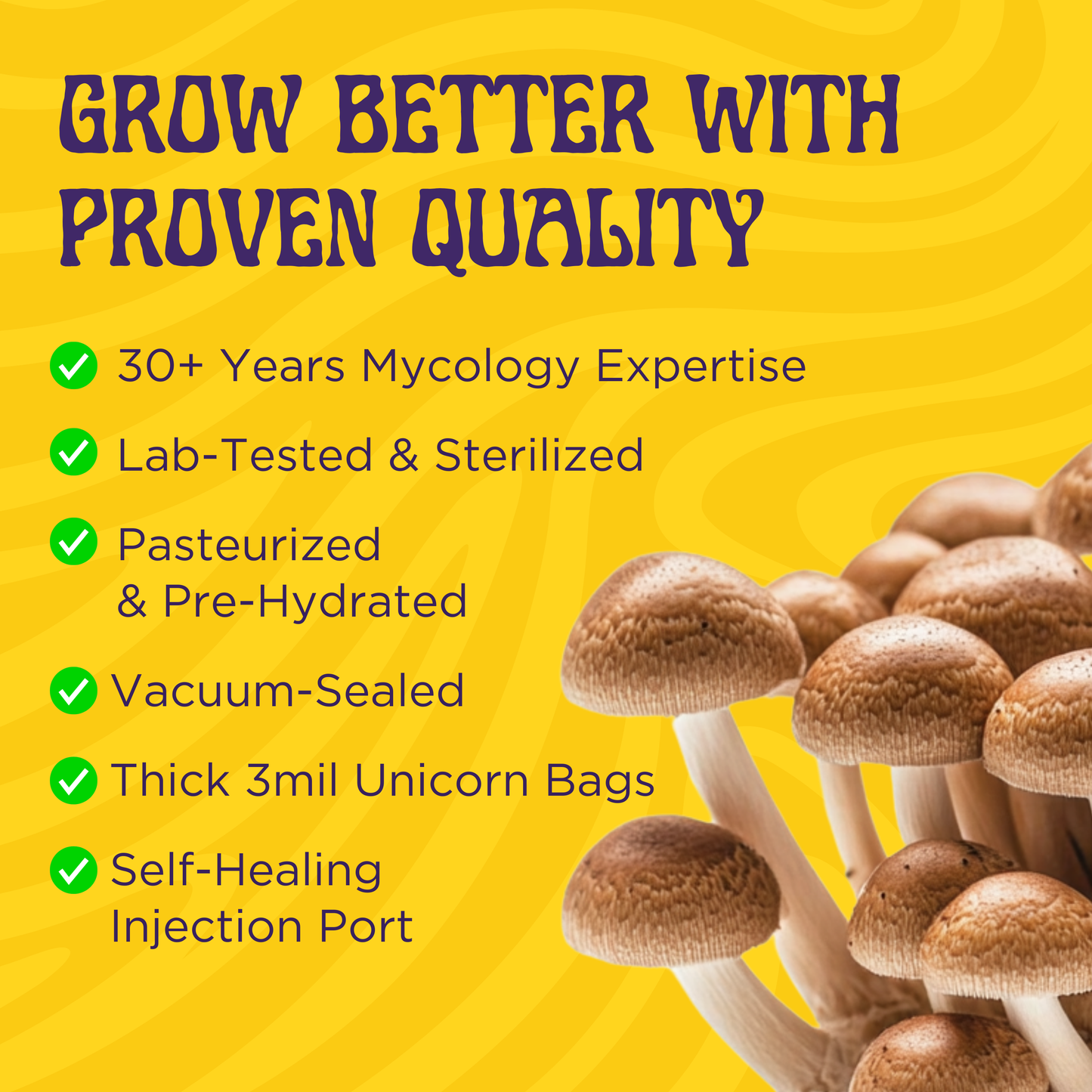 A cluster of mushrooms appears beside bold text: 5lb All-In-One Mushroom Grow Bag—30+ years mycology expertise, sterilized grain & bulk substrate, lab-tested, vacuum-sealed, thick bag, and self-healing injection port (spores not included).