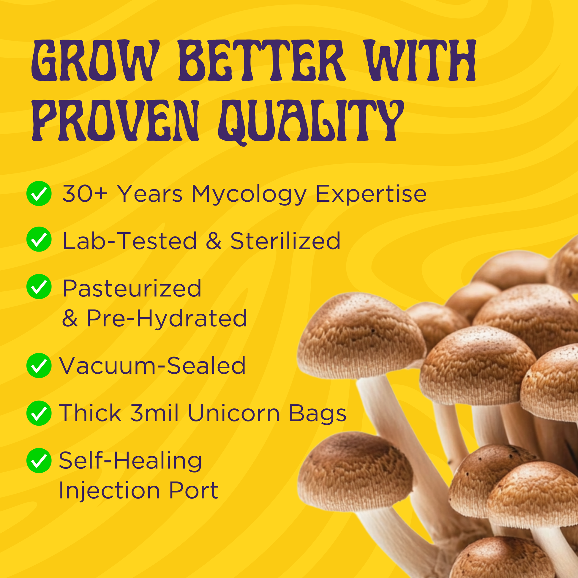 A cluster of mushrooms appears beside bold text: 5lb All-In-One Mushroom Grow Bag—30+ years mycology expertise, sterilized grain & bulk substrate, lab-tested, vacuum-sealed, thick bag, and self-healing injection port (spores not included).