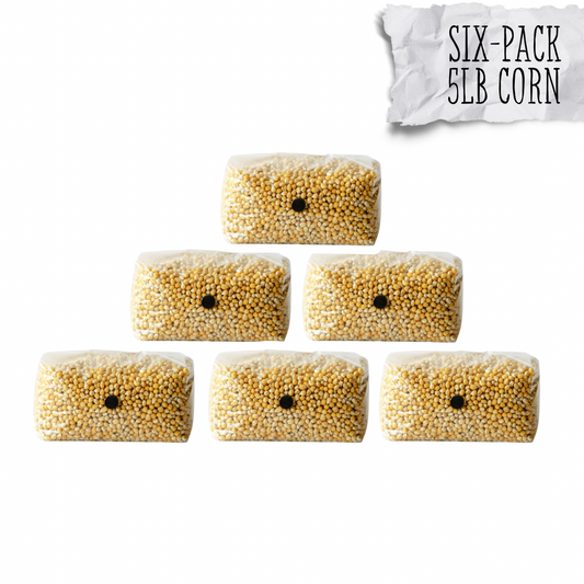 Drippy corn grain spawn in 6 pack bundle for 15% off 