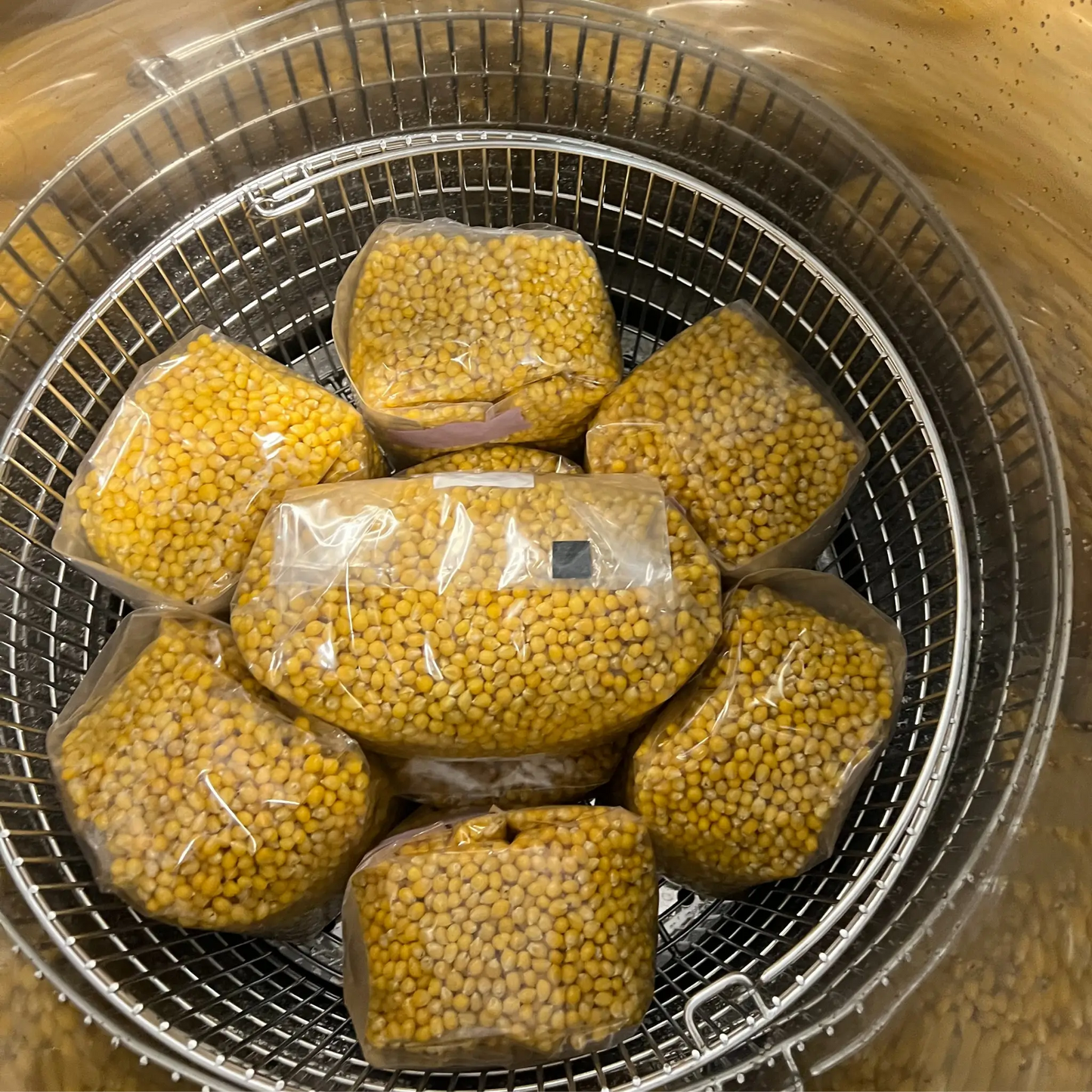 Drippy Corn Grain Spawn Going into the autoclave for sterilization