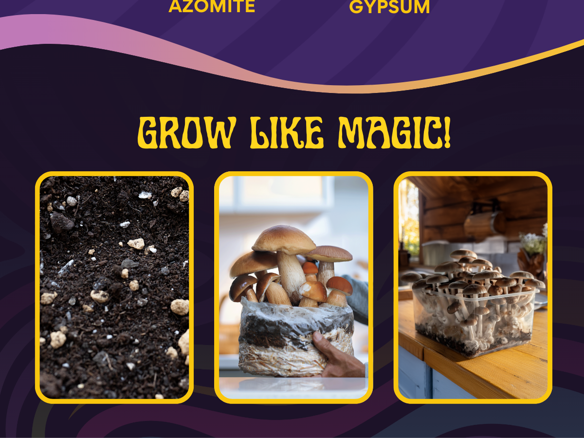 Three images display nutrient-rich soil, mushrooms in hand, and countertop jars with "Grow Like Magic!" above—perfect inspiration for your next Monotub Refill Kit featuring sterilized milo sorghum grain spawn and premium hydrated CVG substrate.
