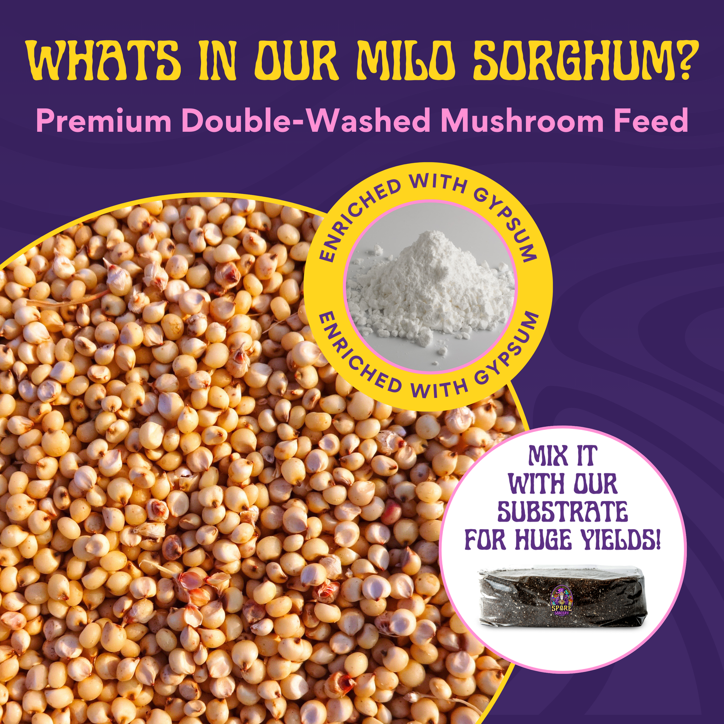 Close-up of Milo Sorghum grains labeled "Hydrated & Nutrient-Enhanced," next to a bag marked "Mix with our Monotub Refill Kit or CVG Substrate for huge yields!" on a purple background. Includes sterilized grain spawn and premium CVG bulk substrate.