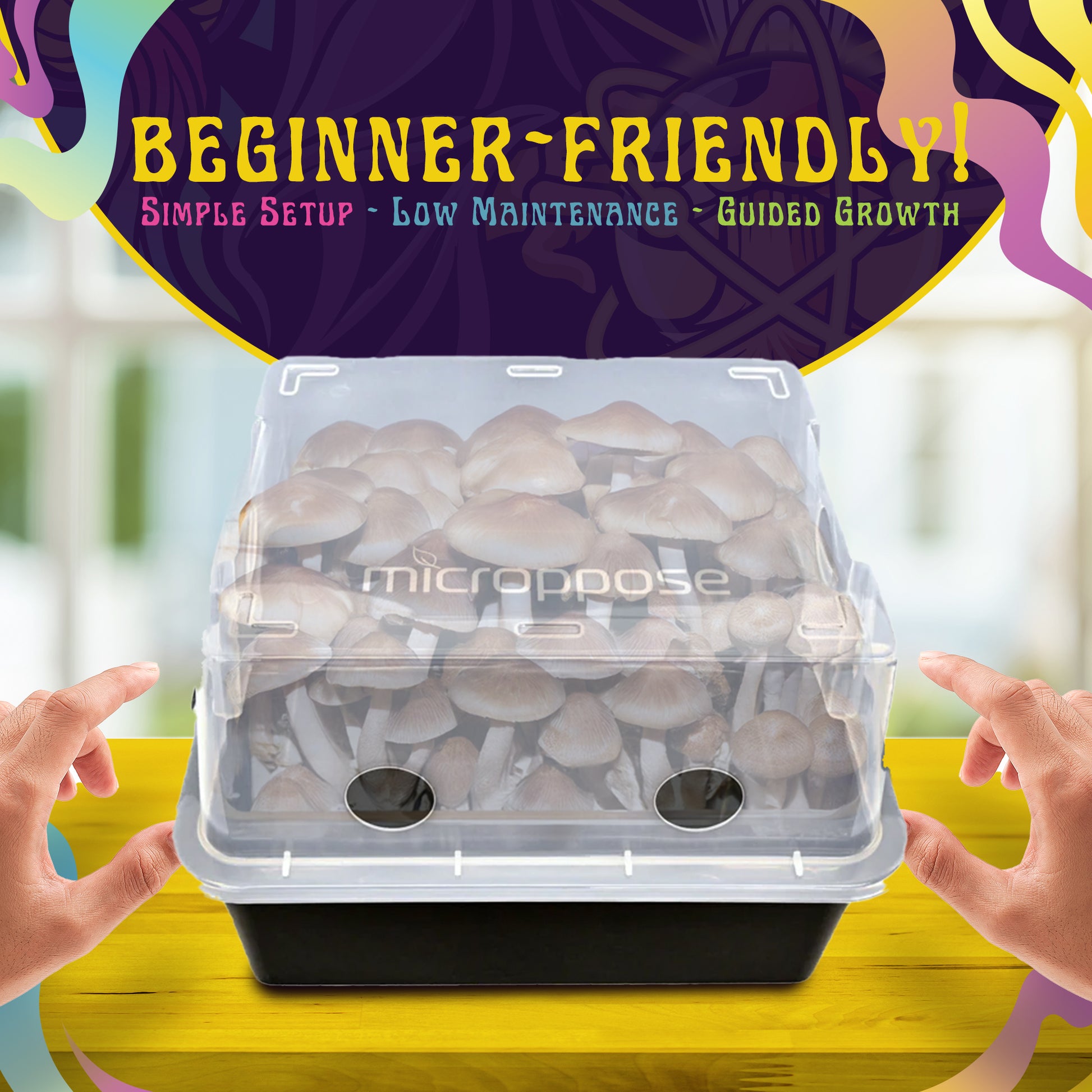 Spore Sorcery beginner-friendly mushroom growing kit featuring a clear container with fully grown mushrooms inside, labeled 'Micropose.' The tagline highlights 'Simple Setup,' 'Low Maintenance,' and 'Guided Growth.' Hands are shown interacting with the kit, emphasizing ease of use. A vibrant background and colorful accents enhance the visual appeal.