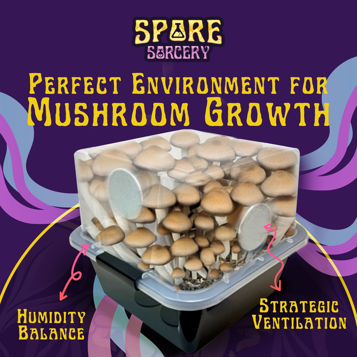 Spore Sorcery mushroom growing kit showcasing a transparent container filled with fully grown mushrooms. The tagline 'Perfect Environment for Mushroom Growth' highlights features such as 'Humidity Balance' and 'Strategic Ventilation.' The vibrant background and branding emphasize the kit’s optimized design for successful mushroom cultivation.