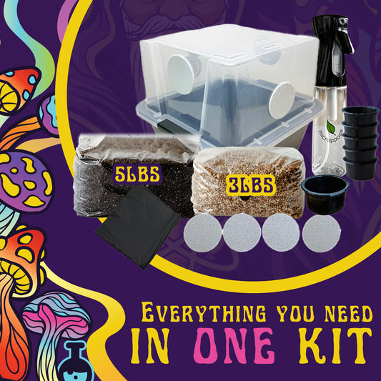 Spore Sorcery beginner mushroom growing kit displaying all included components: a transparent growing container with ventilation ports, 5lbs of substrate, 3lbs of grain, a spray bottle, filters, black trash bags, and additional accessories. The tagline 'Everything You Need in One Kit' emphasizes its completeness. Vibrant mushroom illustrations and psychedelic designs enhance the branding.