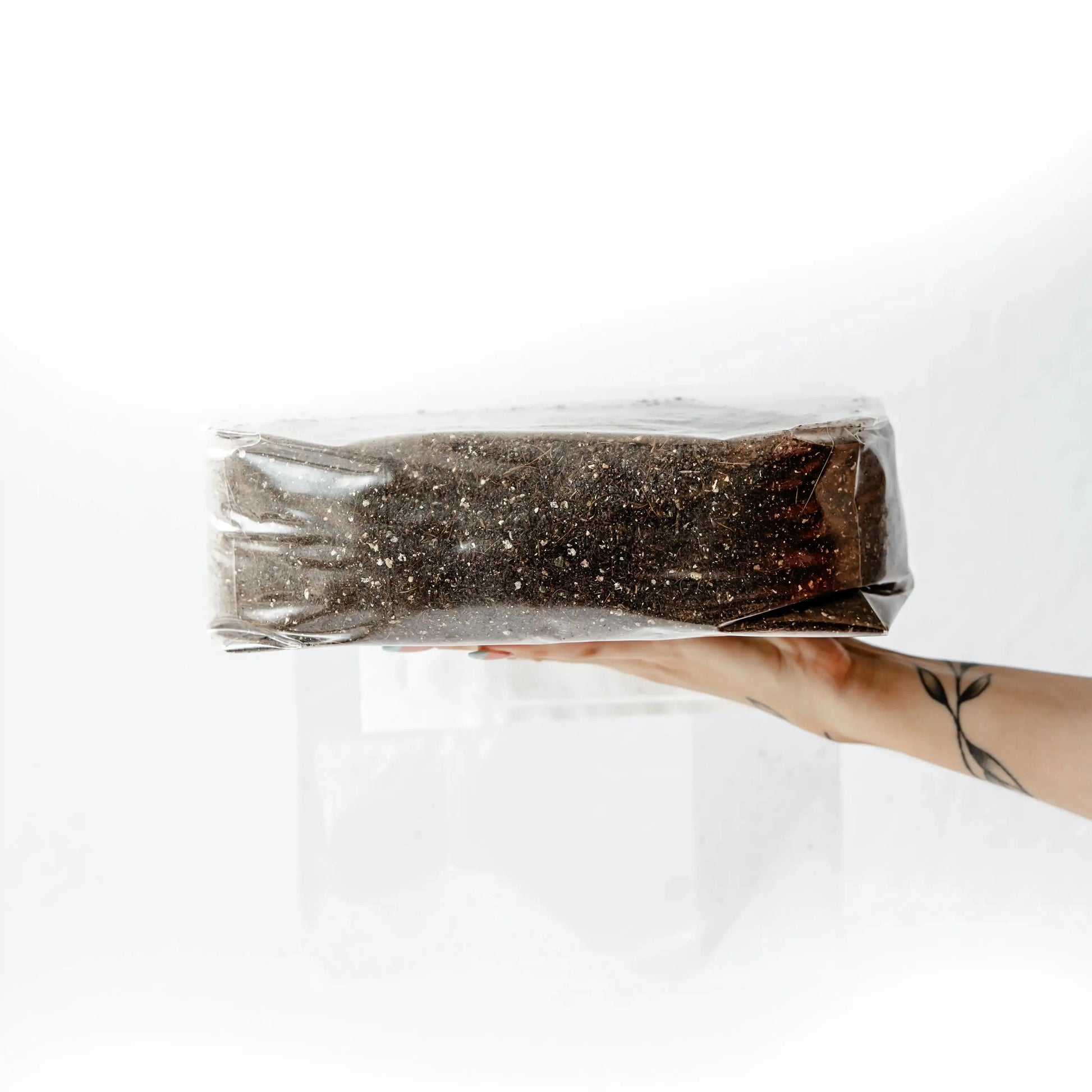 CVA substrate in hand to show size 
