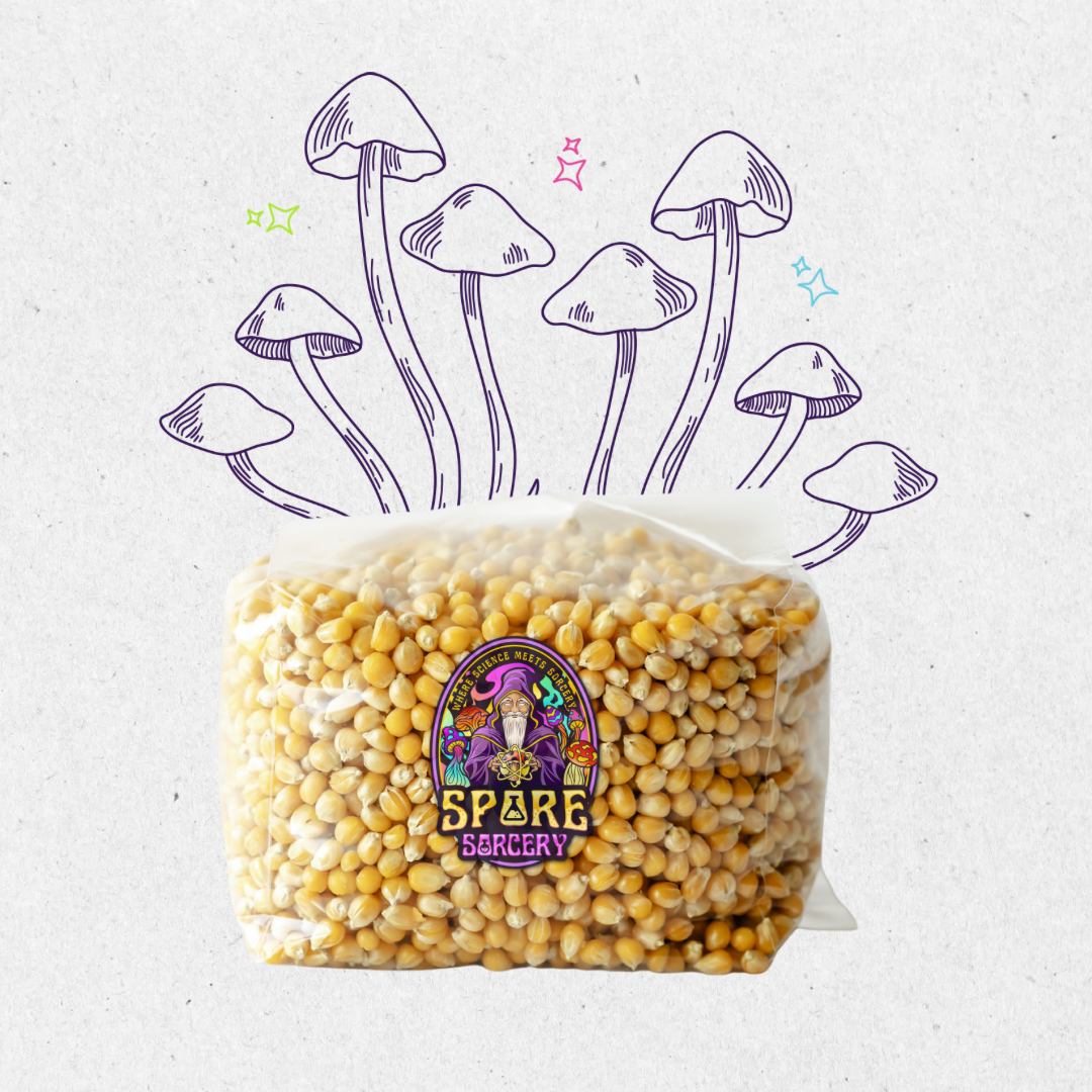 Our Drippy Corn is known for its high moisture retention and nutrient-rich profile. Drippy Corn is the go-to choice for mushroom enthusiasts seeking superior growth performance. Each bag is meticulously prepared and tested to ensure rapid colonization and contamination-free growth.