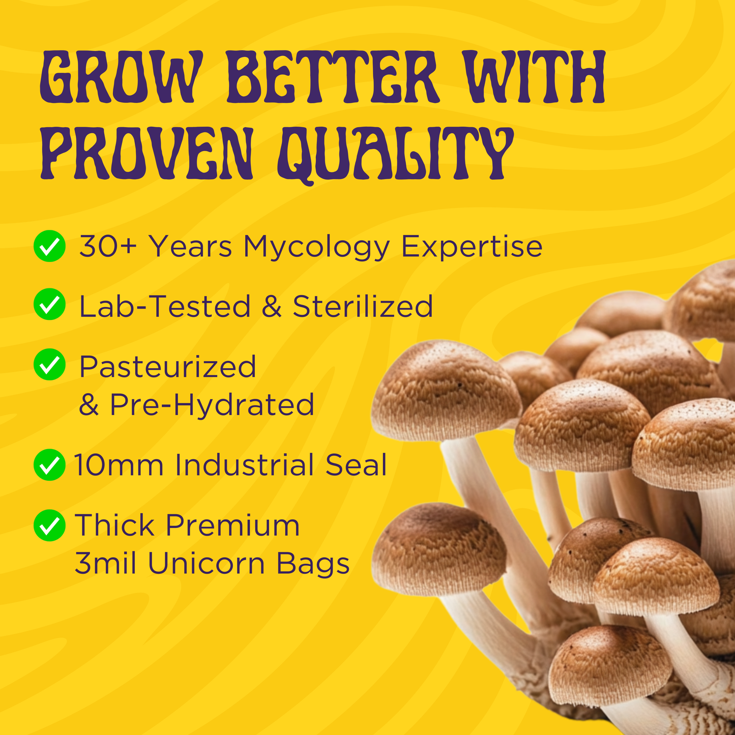 Graphic titled “Grow Better with Proven Quality” showing benefits: 30+ years mycology expertise, lab-tested premium CVG substrate, sterilized Milo Sorghum grain spawn, industrial sealing, and top-tier kit—next to a mushroom cluster.