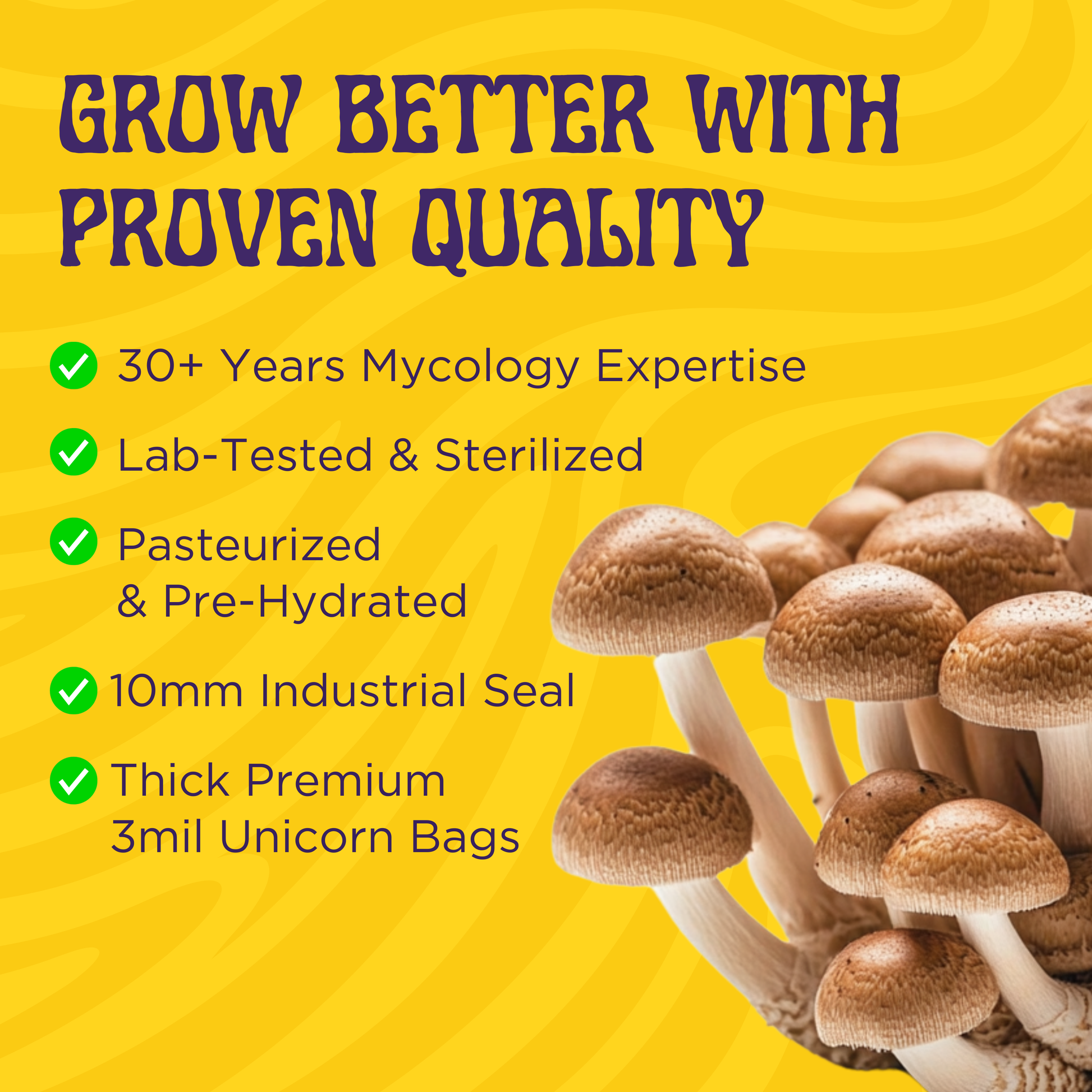 Graphic titled “Grow Better with Proven Quality” showing benefits: 30+ years mycology expertise, lab-tested premium CVG substrate, sterilized Milo Sorghum grain spawn, industrial sealing, and top-tier kit—next to a mushroom cluster.