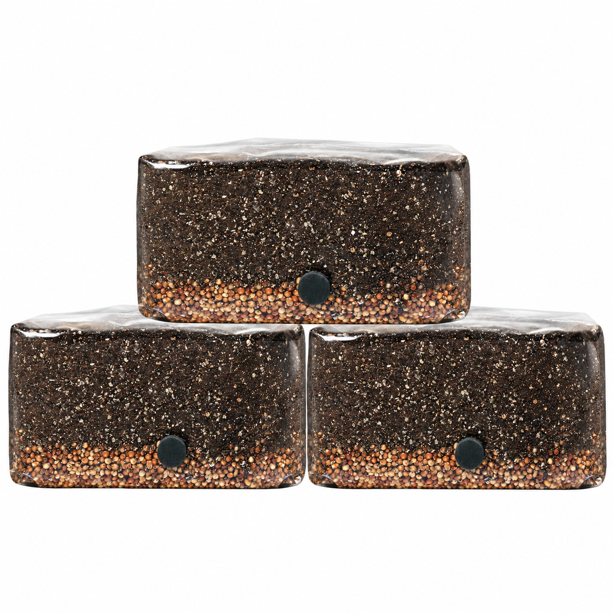 3 pack of Spore Sorcery 4 lb all-in-one mushroom grow bags