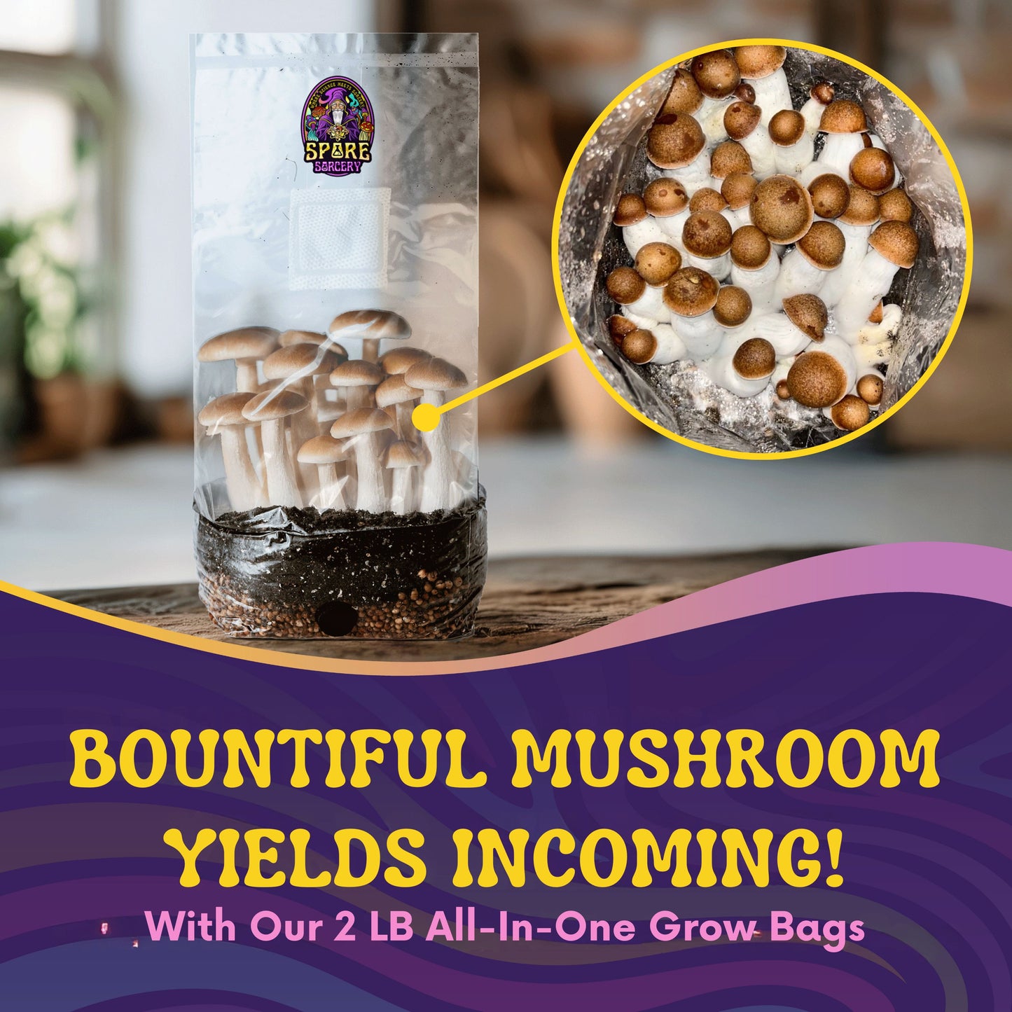 2lb All-In-One Mushroom Grow Kit In Bag (Spores Not Included)