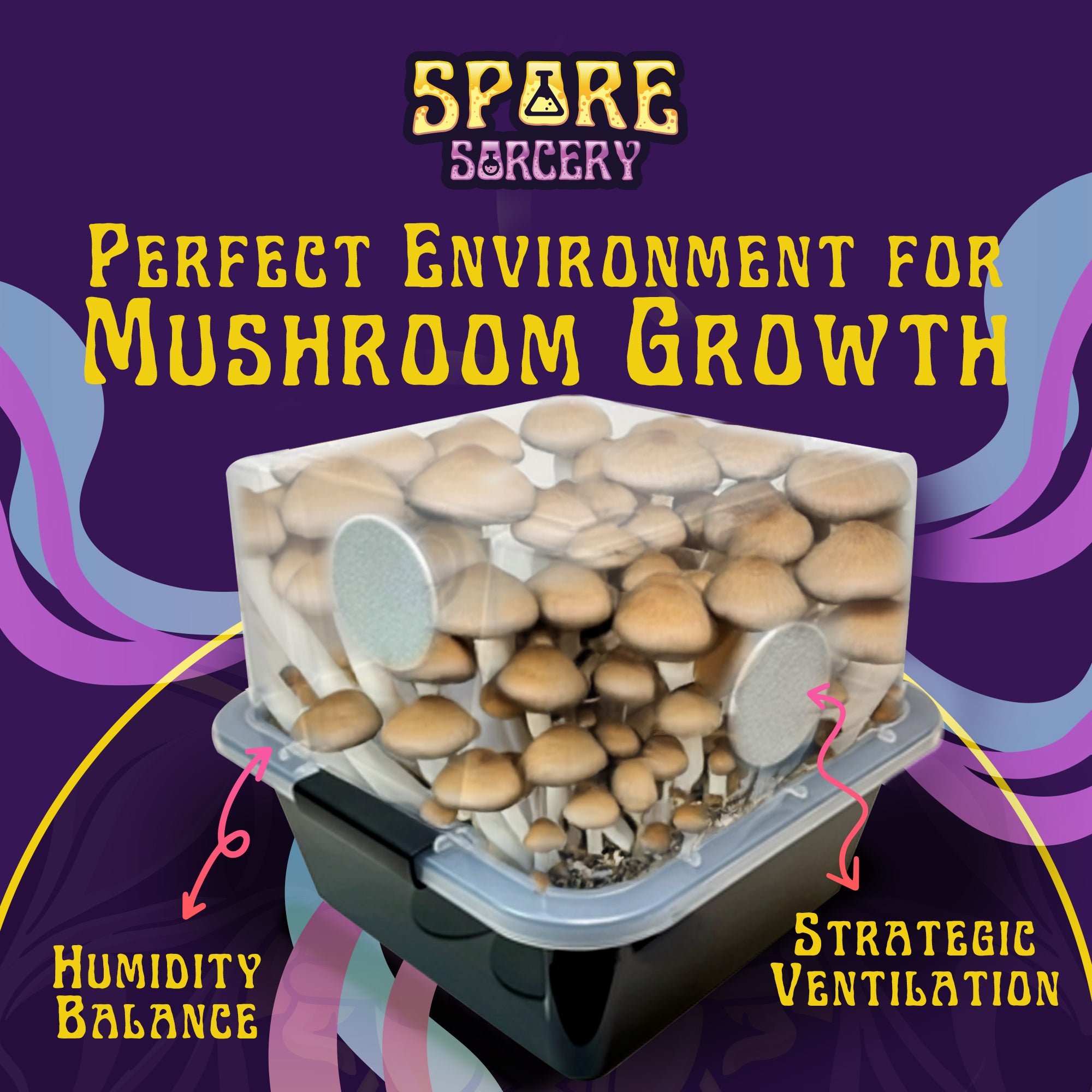 Small Beginner's Mushroom Grow Kit with Monotub | Spore Sorcery